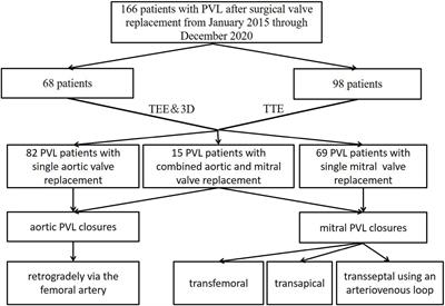 Transcatheter Closure of a Paravalvular Leak Guided by Transesophageal Echocardiography and Three-Dimensional Printing